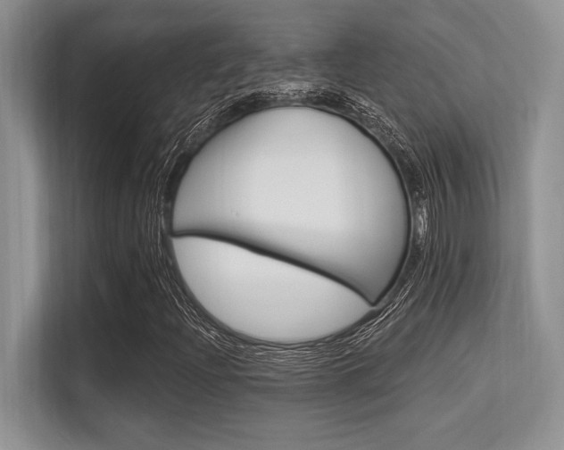 X0000113581204200909181013