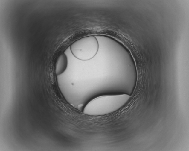 X0000113581205200909181013