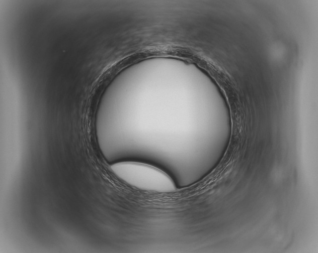 X0000113581206200909181013