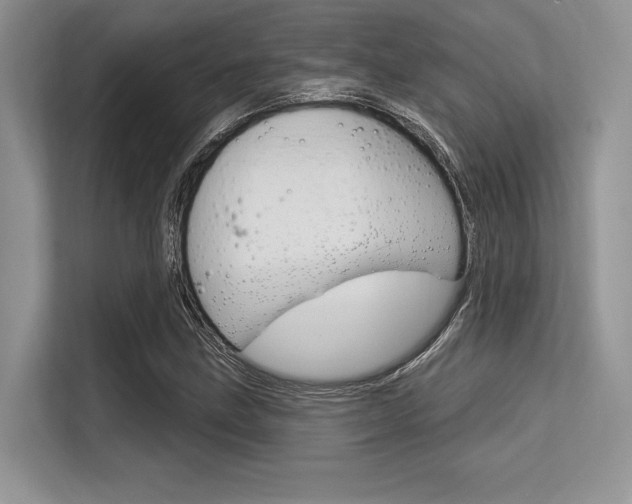 X0000113581211200909181013