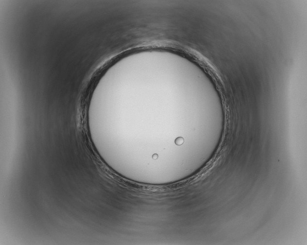 X0000113581215200909181013