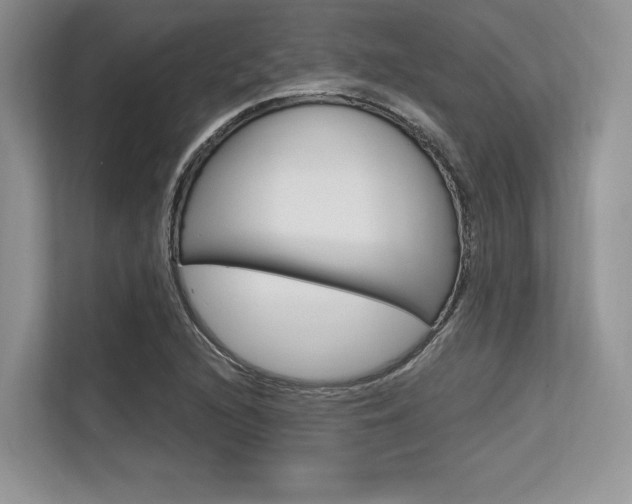 X0000113581216200909181013