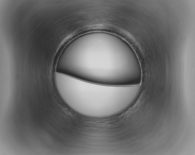 X0000113581218200909181013