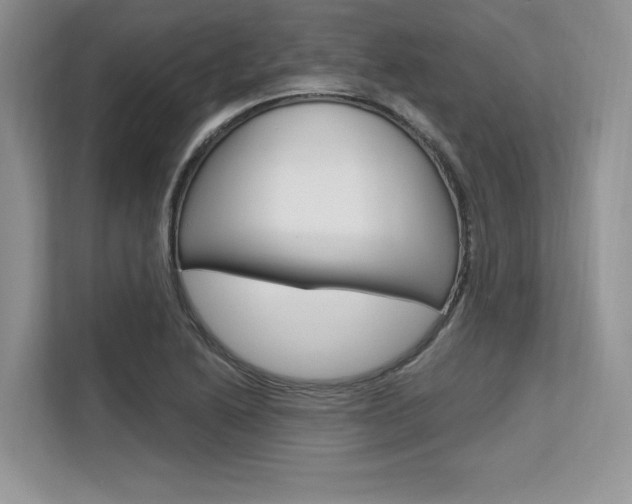 X0000113581222200909181013
