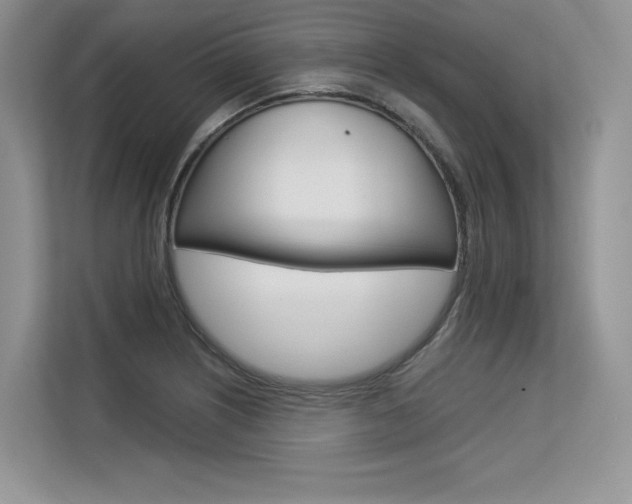 X0000113581226200909181013