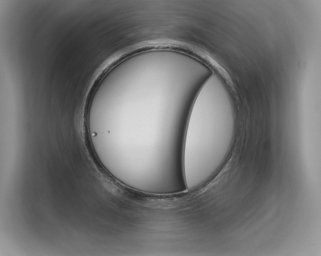 X0000113581229200909181013