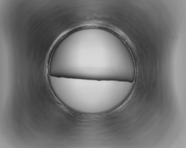 X0000113581232200909181013