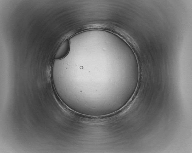 X0000113581233200909181013