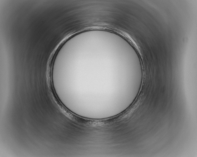 X0000113581235200909181013