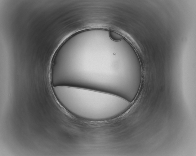 X0000113581236200909181013