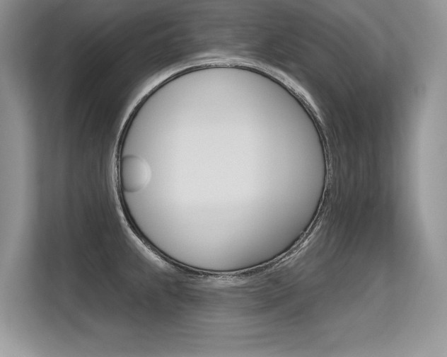X0000113581239200909181013