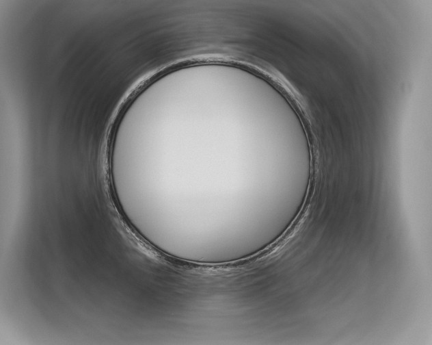 X0000113581240200909181013