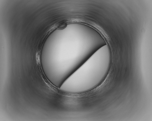 X0000113581241200909181013