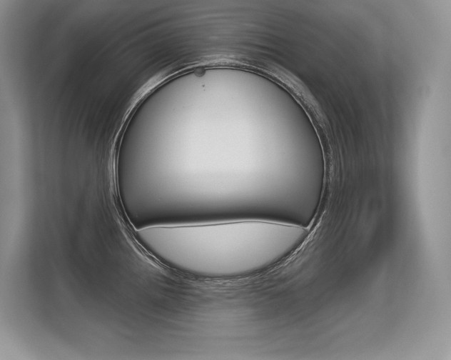 X0000113581242200909181013