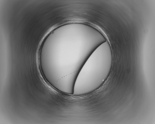 X0000113581243200909181013