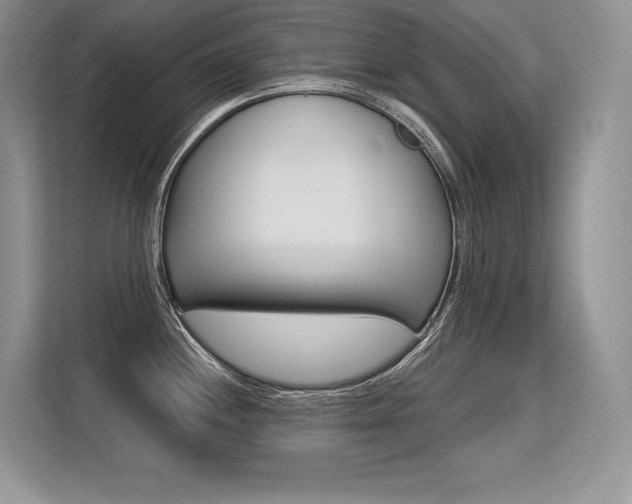 X0000113581244200909181013