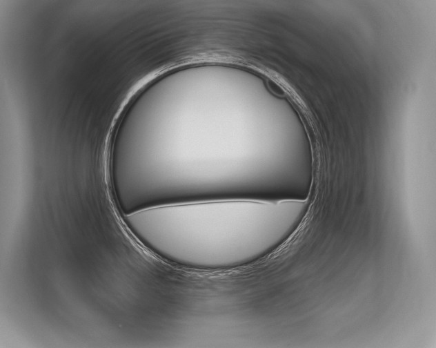 X0000113581246200909181013