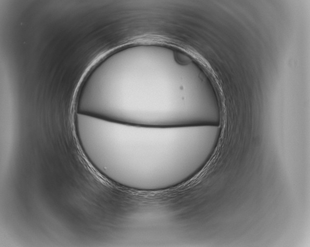 X0000113581248200909181013