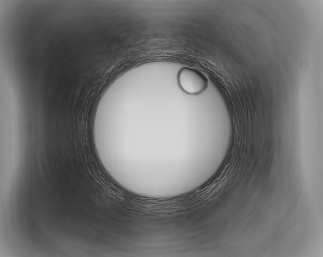 X0000113581252200909181013