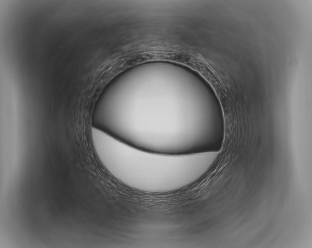X0000113581253200909181012