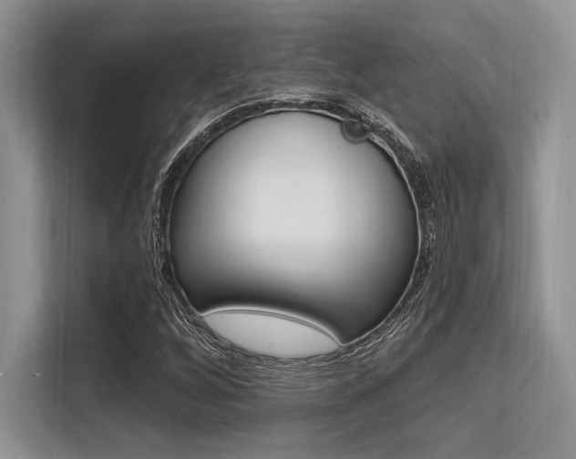 X0000113581256200909181012