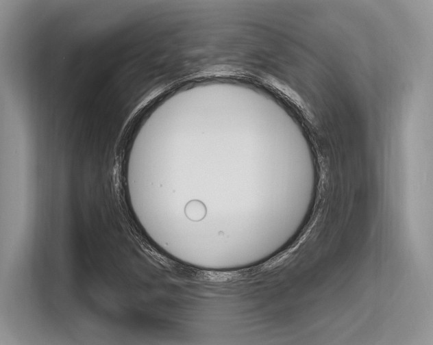 X0000113581258200909181012