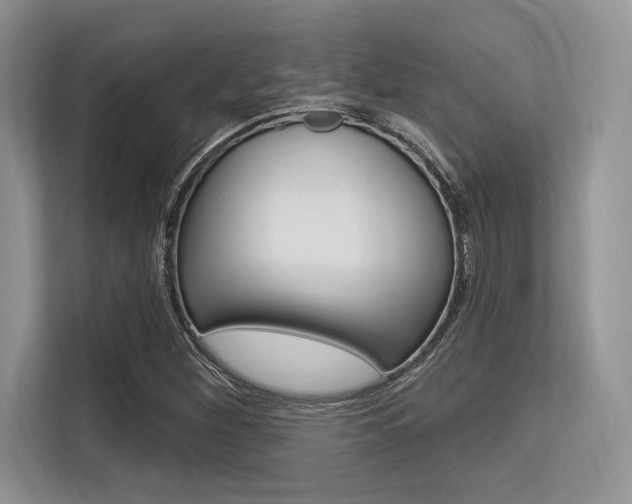 X0000113581260200909181012