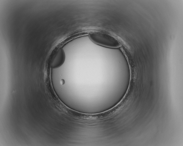 X0000113581261200909181012