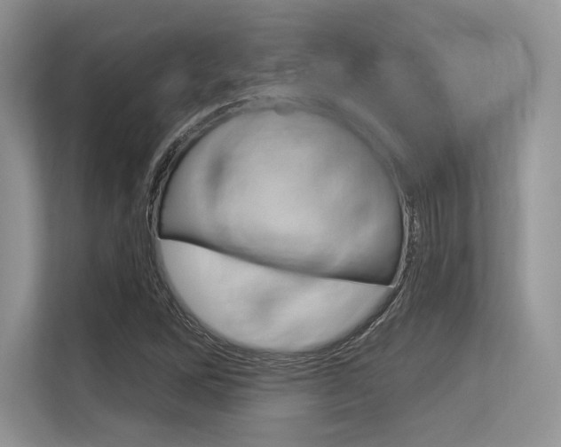 X0000113581262200909181012
