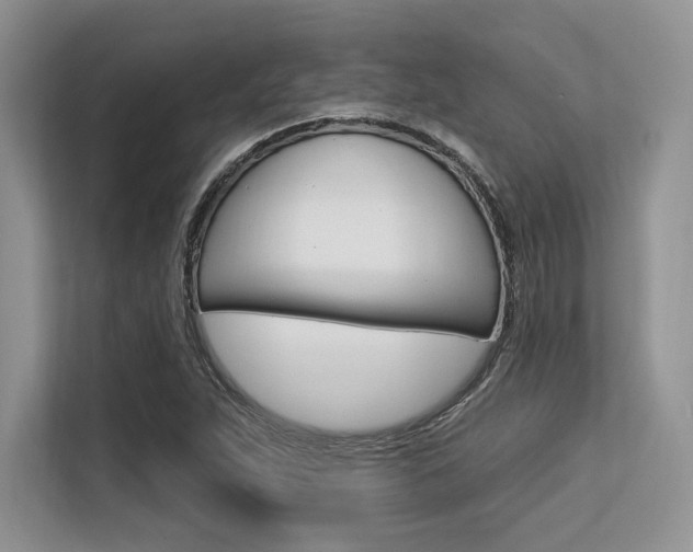 X0000113581263200909181012