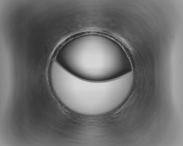 X0000113581264200909181012