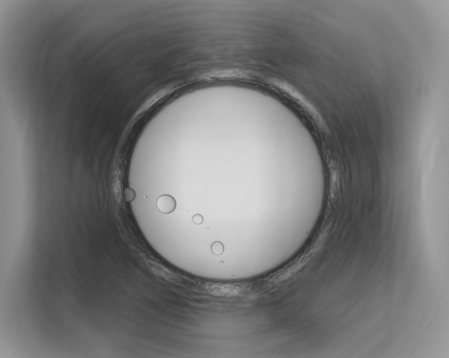 X0000113581266200909181012