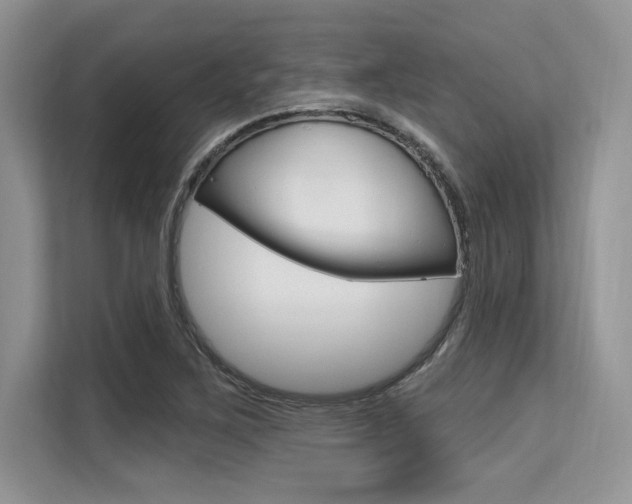 X0000113581267200909181012