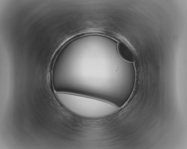 X0000113581268200909181012