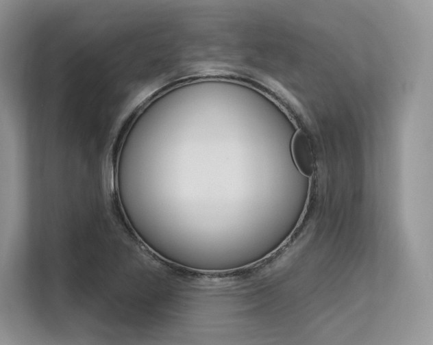 X0000113581269200909181012