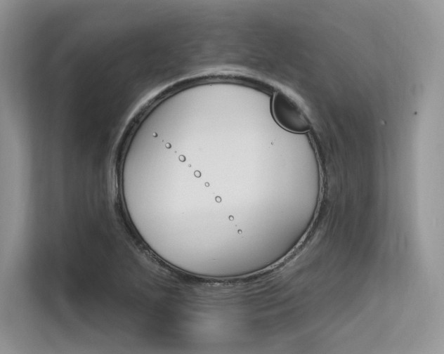 X0000113581271200909181012