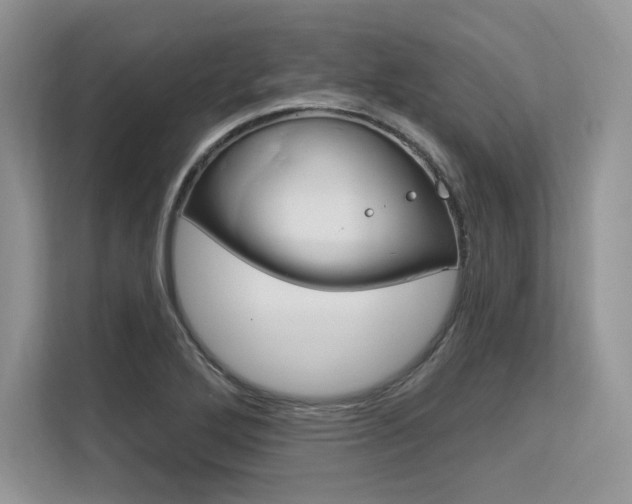 X0000113581272200909181012