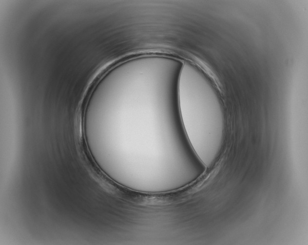 X0000113581275200909181012