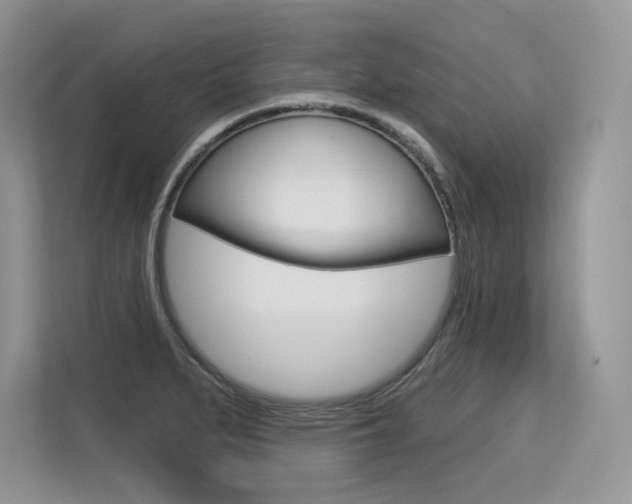 X0000113581279200909181012