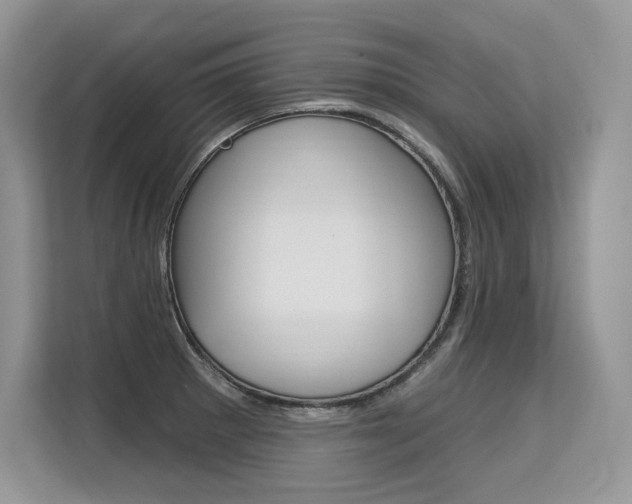 X0000113581281200909181012