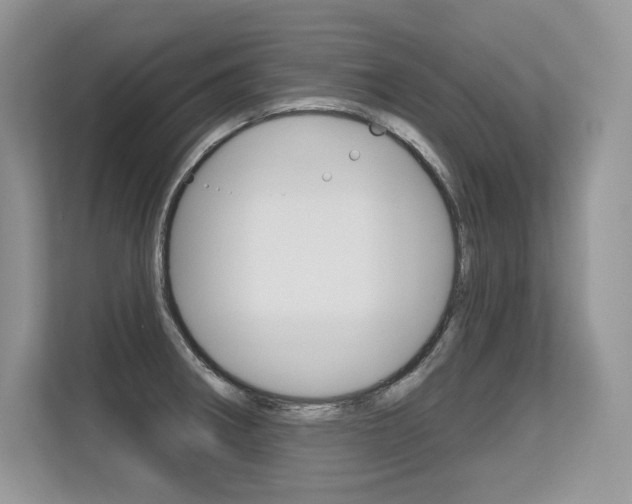 X0000113581282200909181012