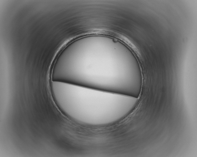 X0000113581283200909181012