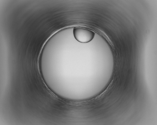 X0000113581284200909181012