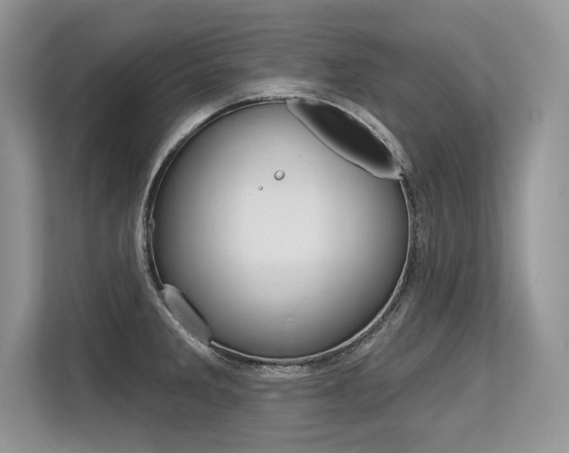 X0000113581285200909181012