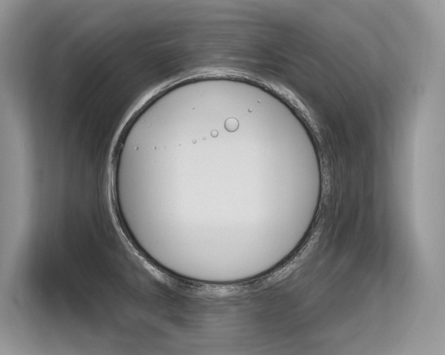 X0000113581286200909181012