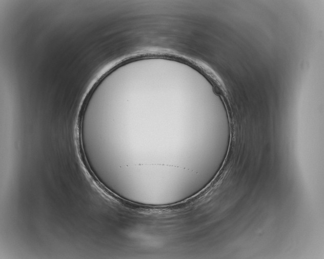 X0000113581287200909181012