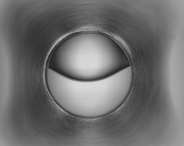 X0000113581288200909181012