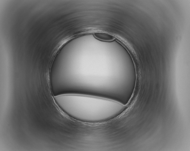 X0000113581289200909181012