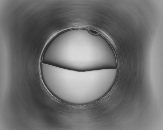 X0000113581291200909181012
