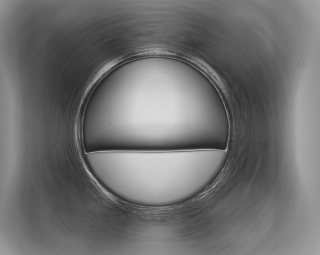 X0000113581293200909181012